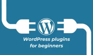 The best 10 WordPress plugins for beginners